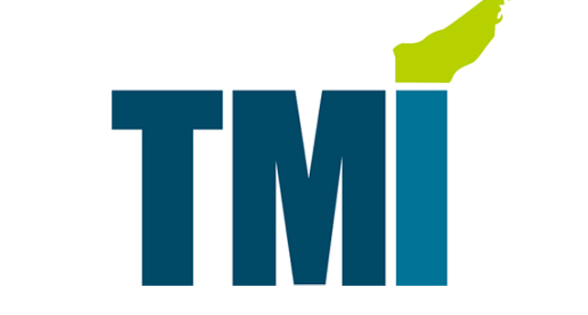 拓尔微电子 TMI Logo
